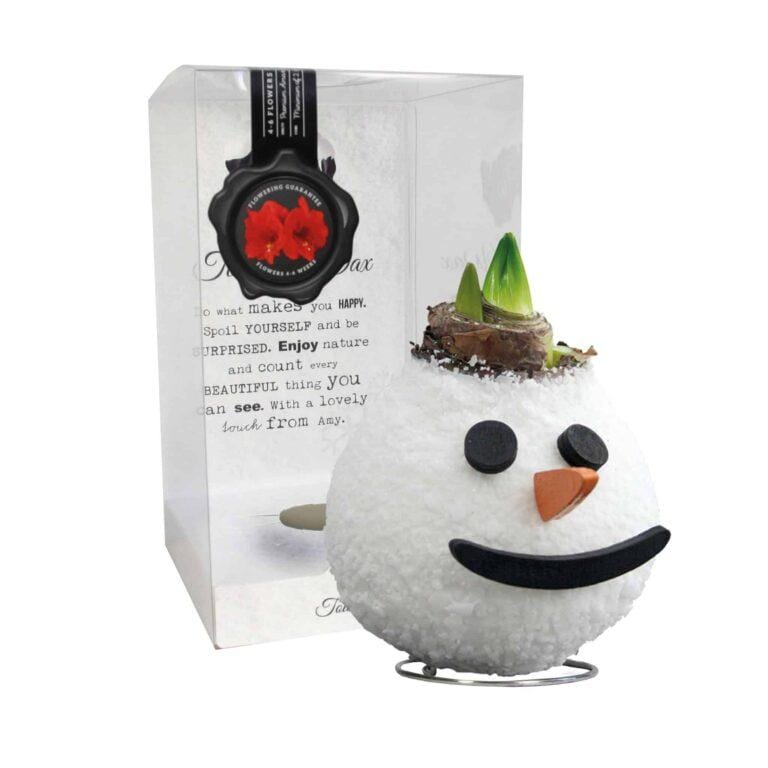 SE/03 in PET gift box / red flower