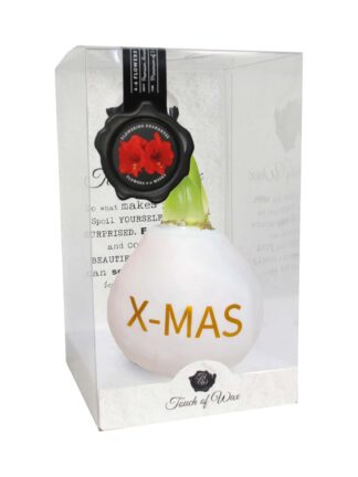 ToW Special print X-Mas