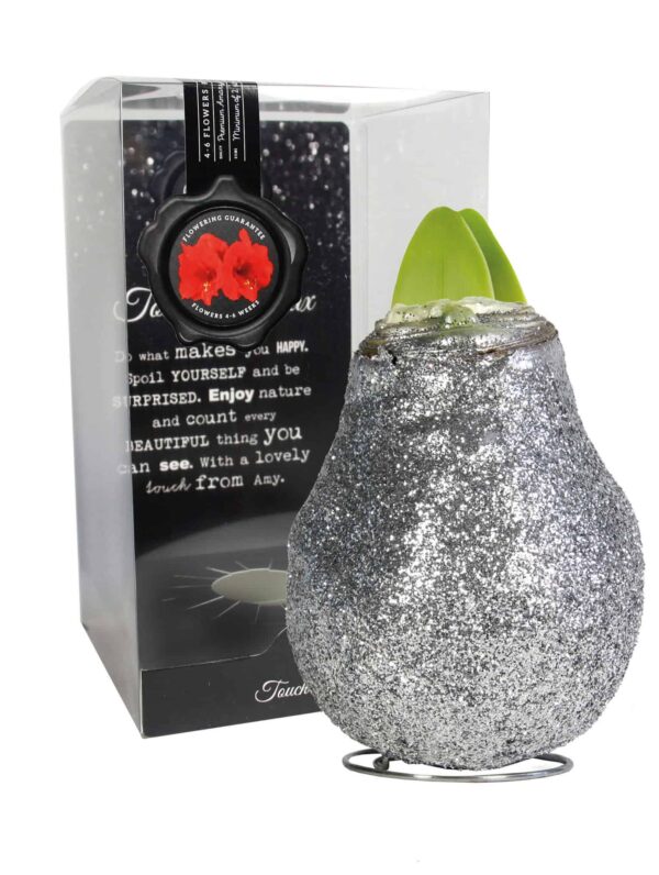 ToW Magic silver