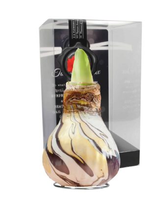 ToW Swirl black