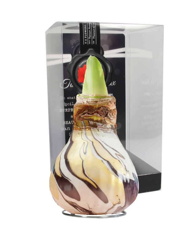 ToW Swirl black