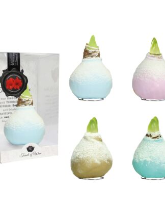 ToW Snow Mix SN02