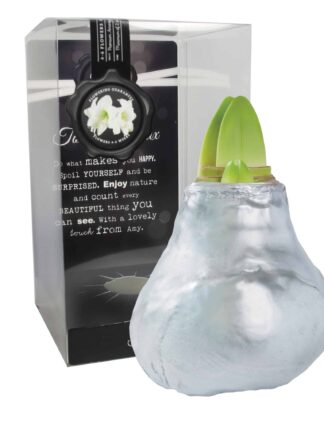 ToW Gloss silver