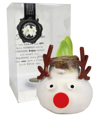 ToW Special Reindeer