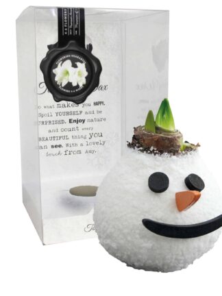 ToW Special Snowman