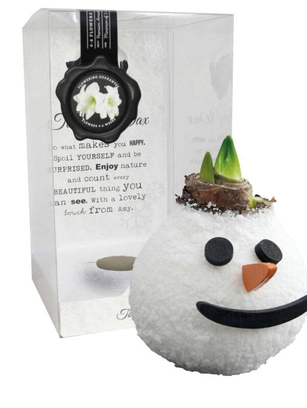 ToW Special Snowman