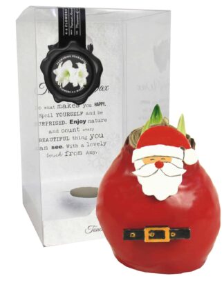 ToW Special Santa Claus