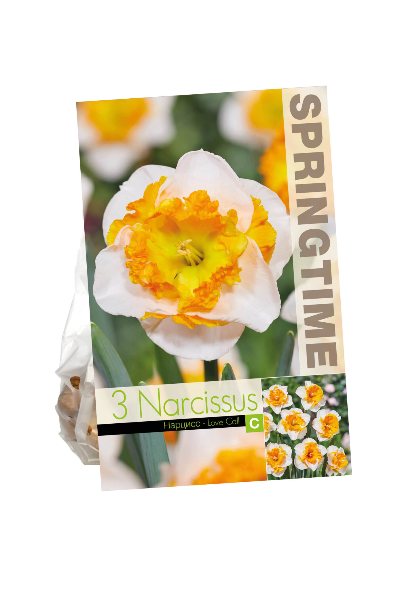 Narcissus Love Call