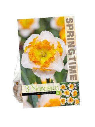 Narcissus Love Call