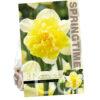 Narcissus Full House