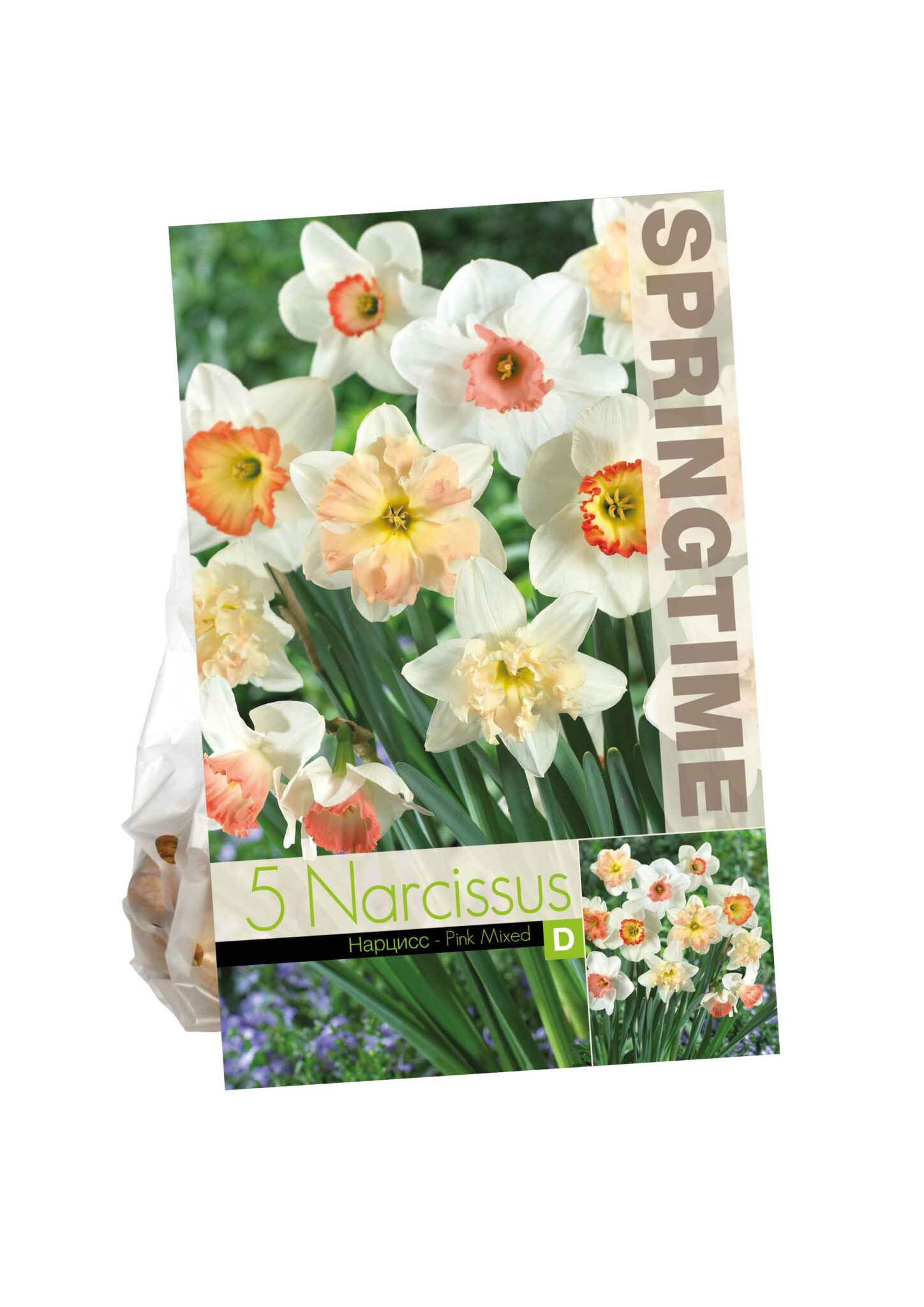 Narcissus Pink Mixed