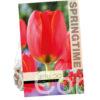 Tulipa World's Fire