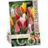 Tulipa Tulipa Botanical Mixed