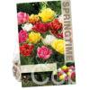 Tulipa Double Early Mixed