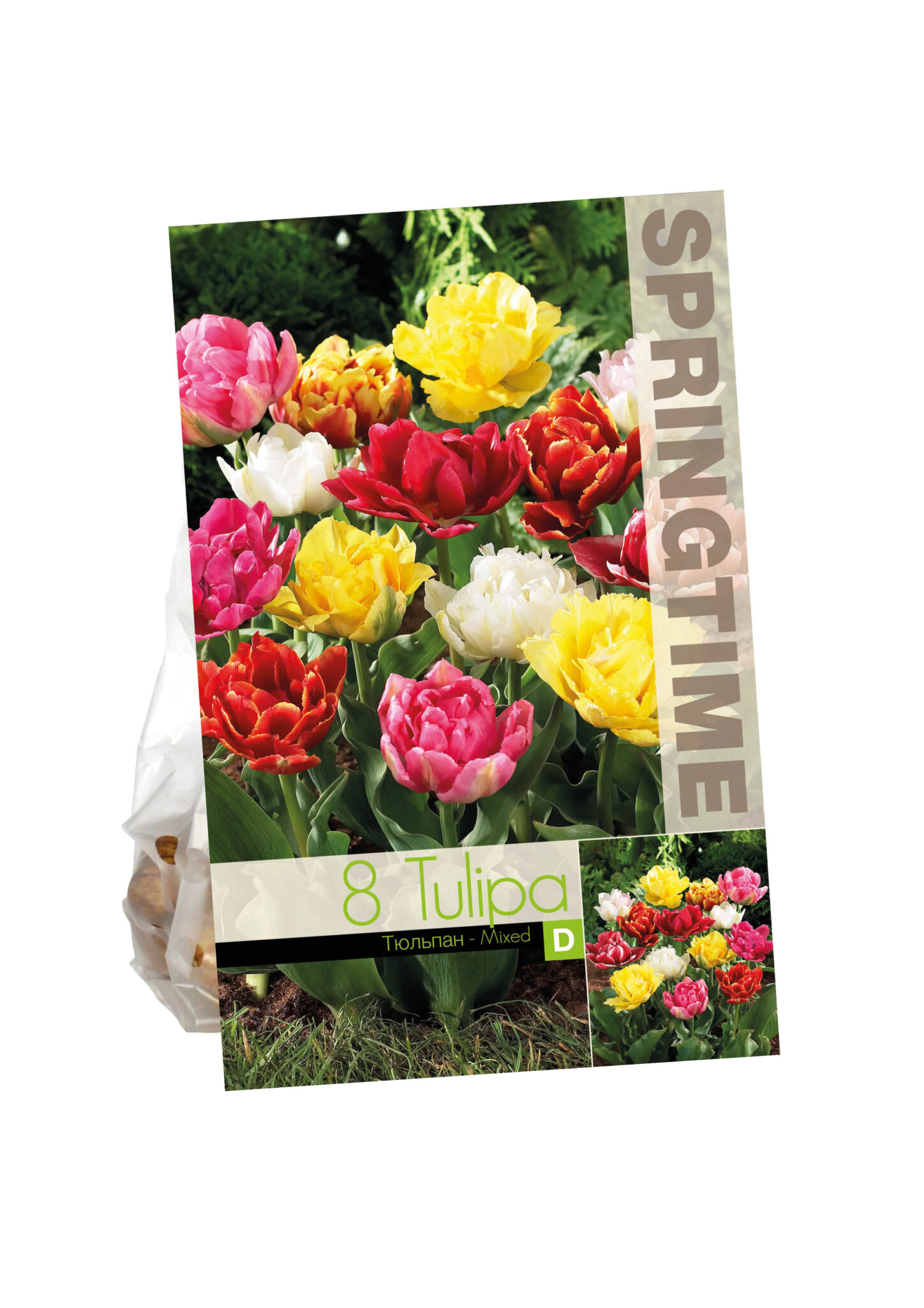 Tulipa Double Early Mixed