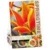Tulipa Fly Away
