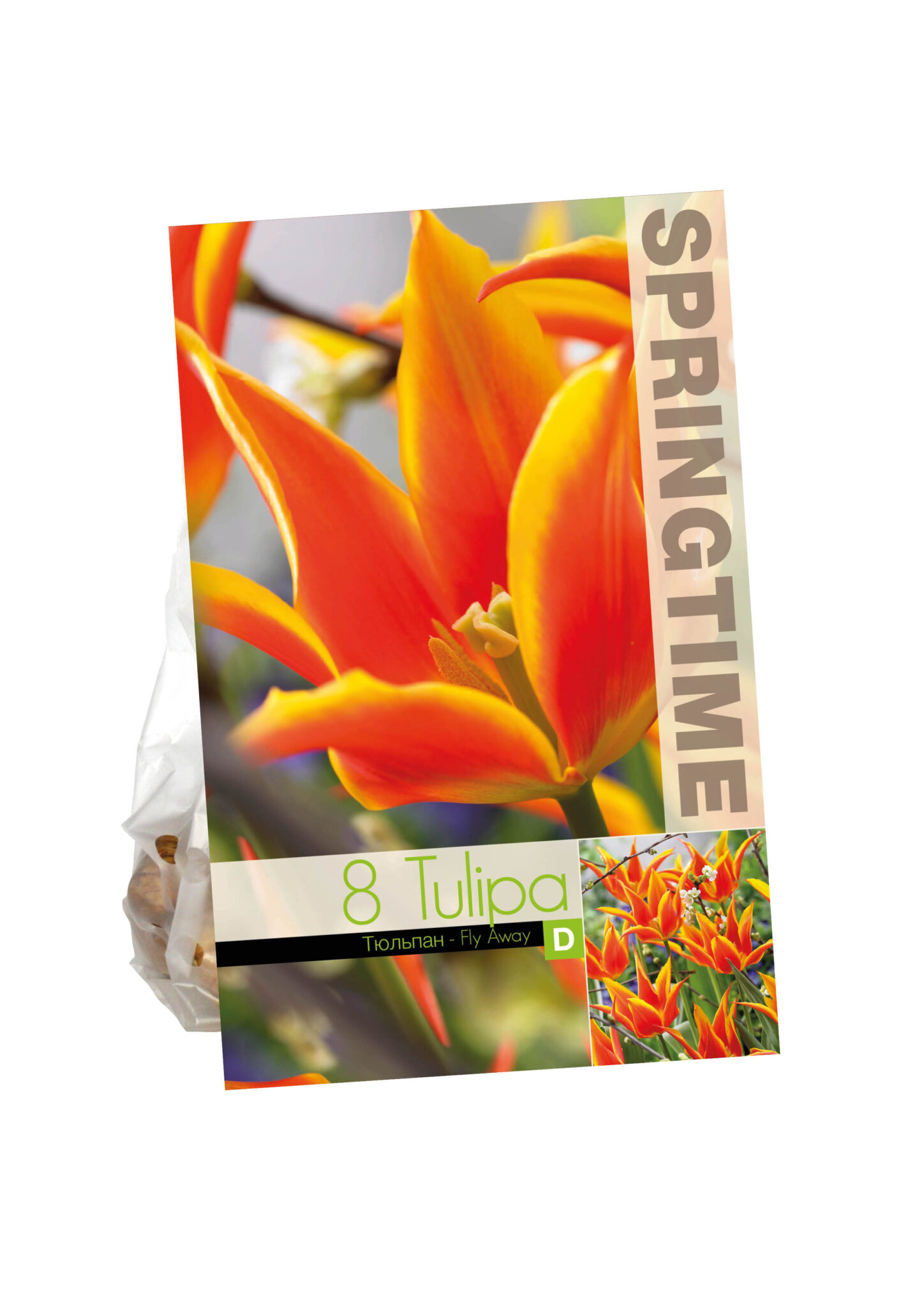 Tulipa Fly Away