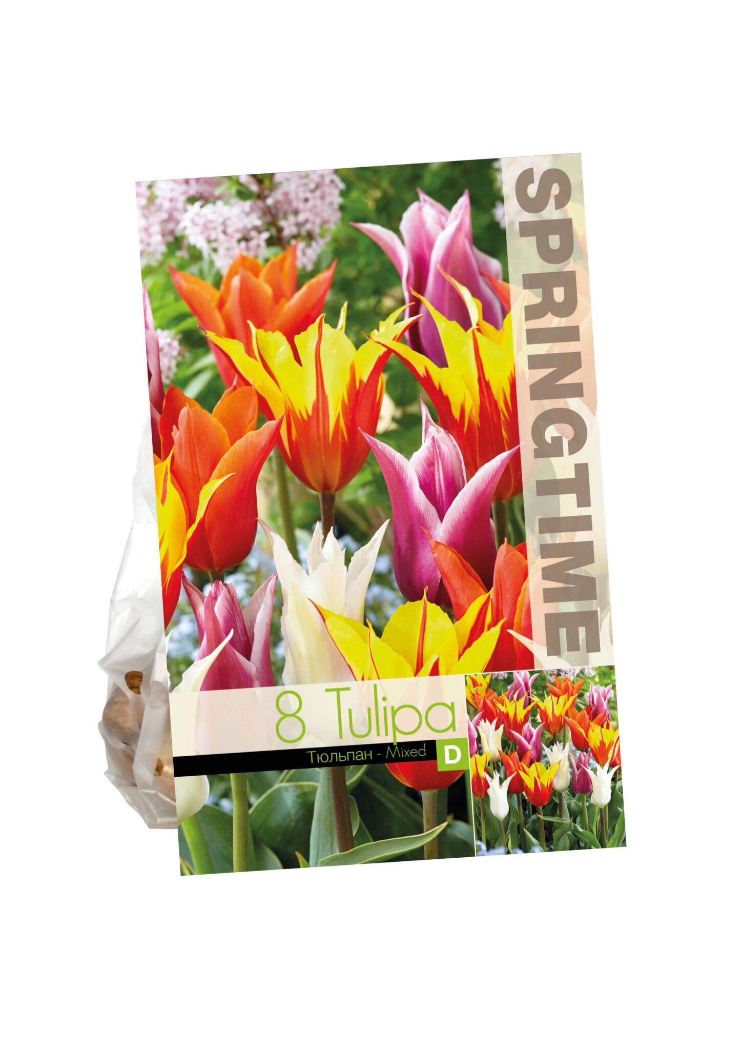 Tulipa Lily Flowering Mixed