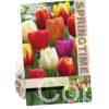 Tulipa Triumph Mixed