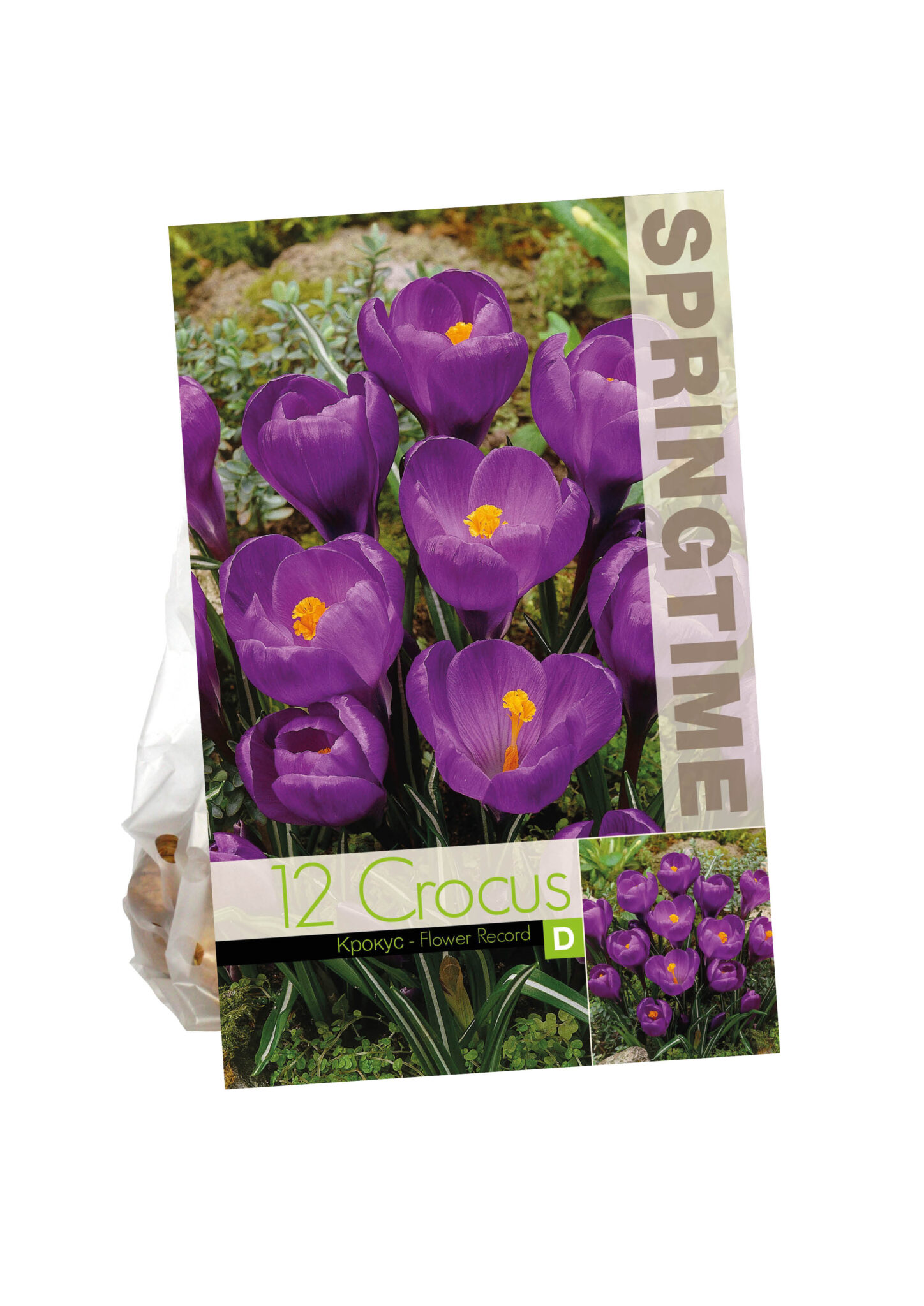 Crocus Flower Record