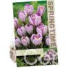 Crocus Pickwick