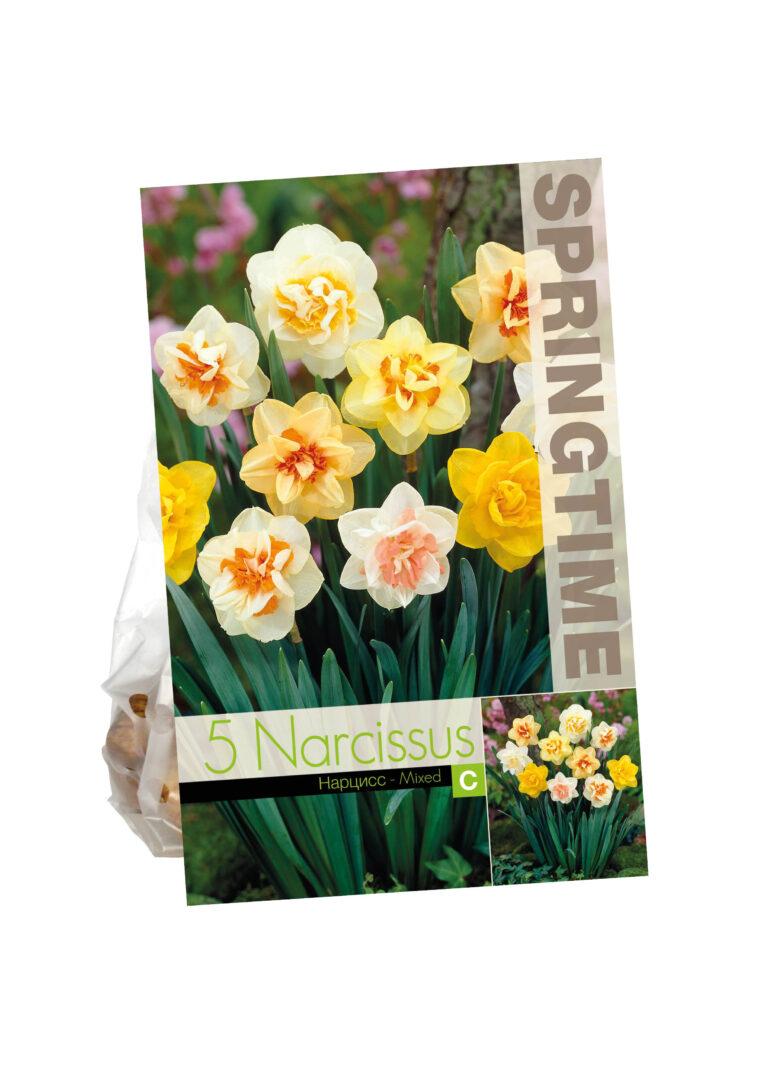 Narcissus Double Mixed