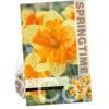 Narcissus Mondragon