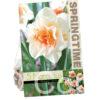 Narcissus Replete