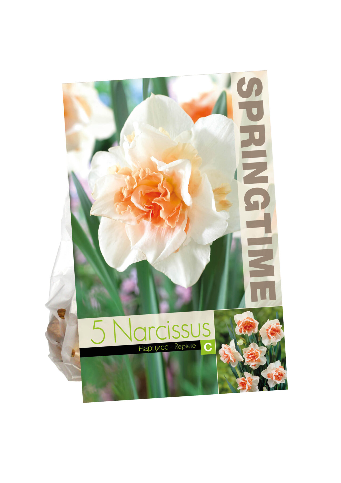 Narcissus Replete