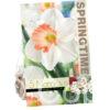 Narcissus Pink Charm