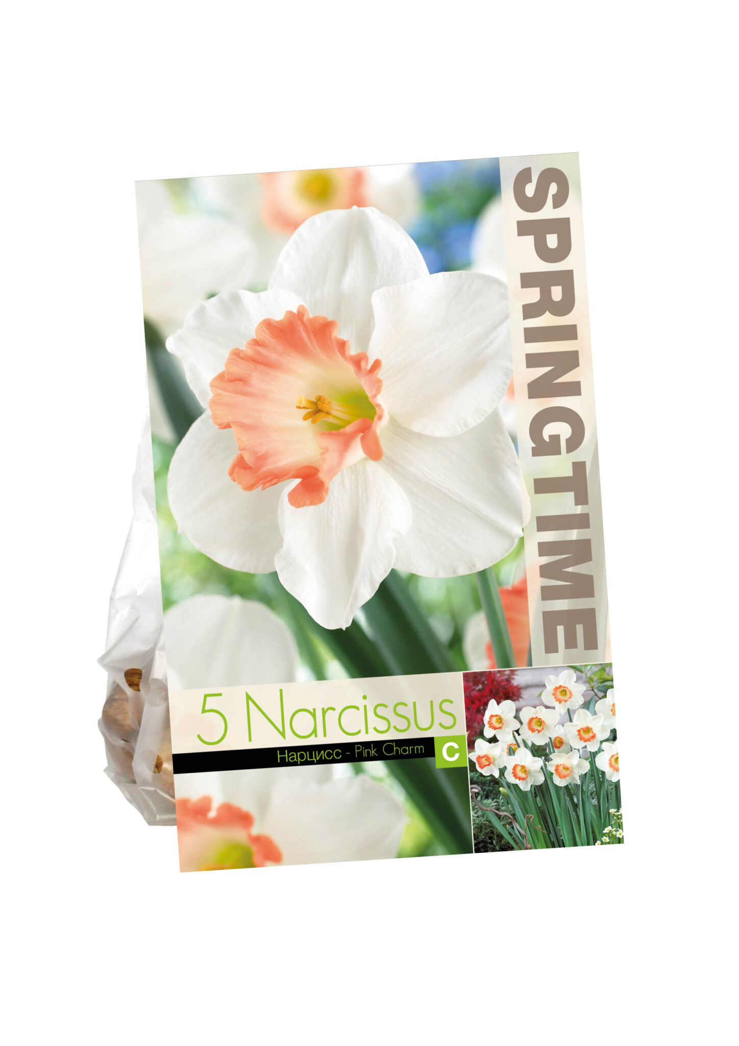 Narcissus Pink Charm