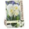 Narcissus Erlicheer