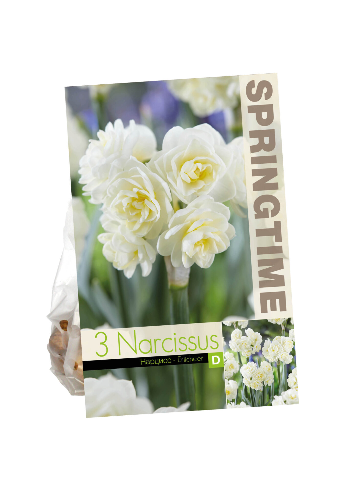 Narcissus Erlicheer