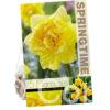 Narcissus Dick Wilden