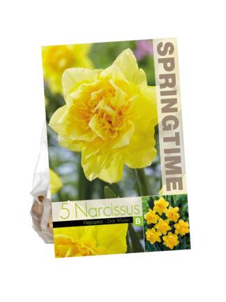 Narcissus Dick Wilden