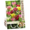 Tulipa Viridiflora Mixed