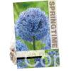 Allium Caeruleum