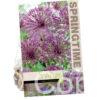 Allium Albopilosum