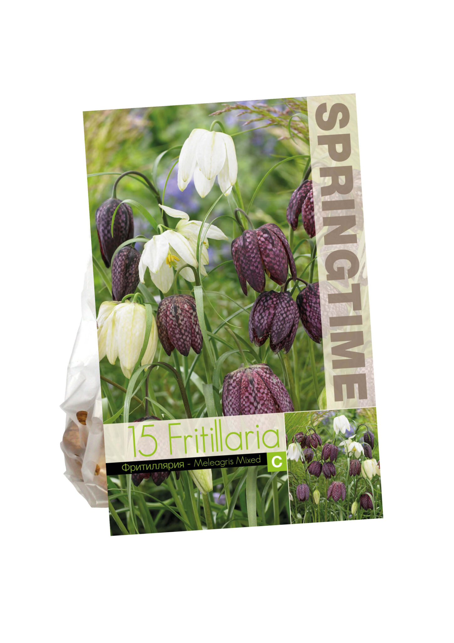 Fritillaria Meleagris Mixed