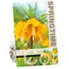 Fritillaria Imp. Striped Beauty