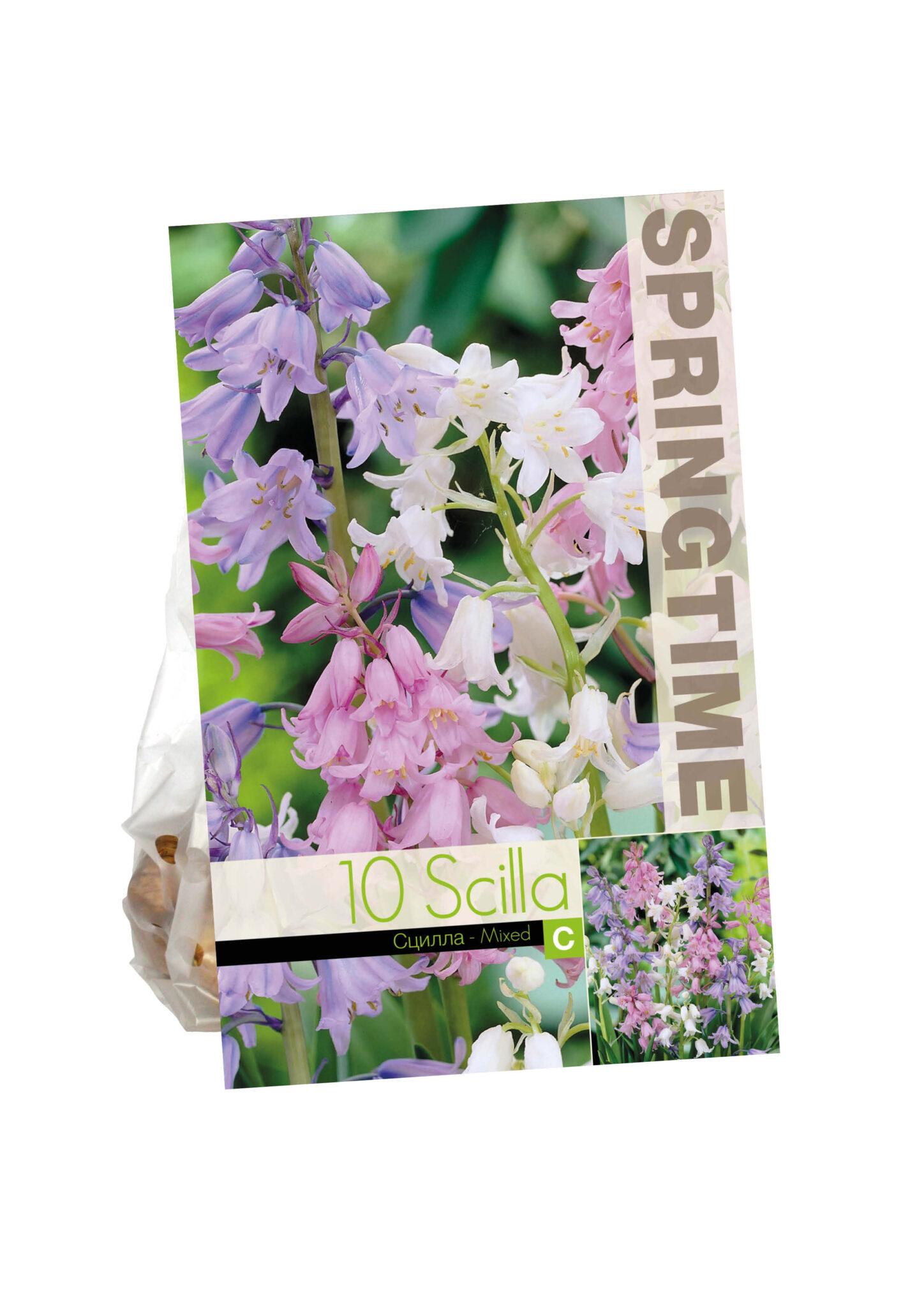 Scilla Campanulata Mixed