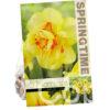 Narcissus Tahiti
