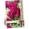 Tulipa Night Club