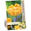 Tulipa Foxy Foxtrot