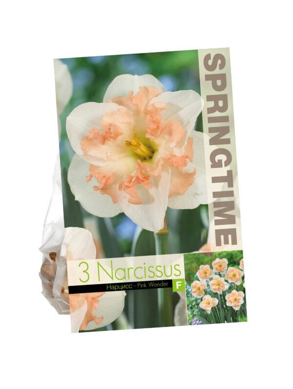Narcissus Pink Wonder
