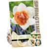 Narcissus Candy Princess