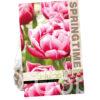 Tulipa Columbus