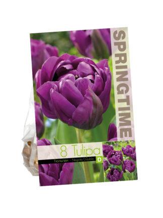 Tulipa Negrita Double