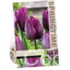 Tulipa Deep Purple Rock