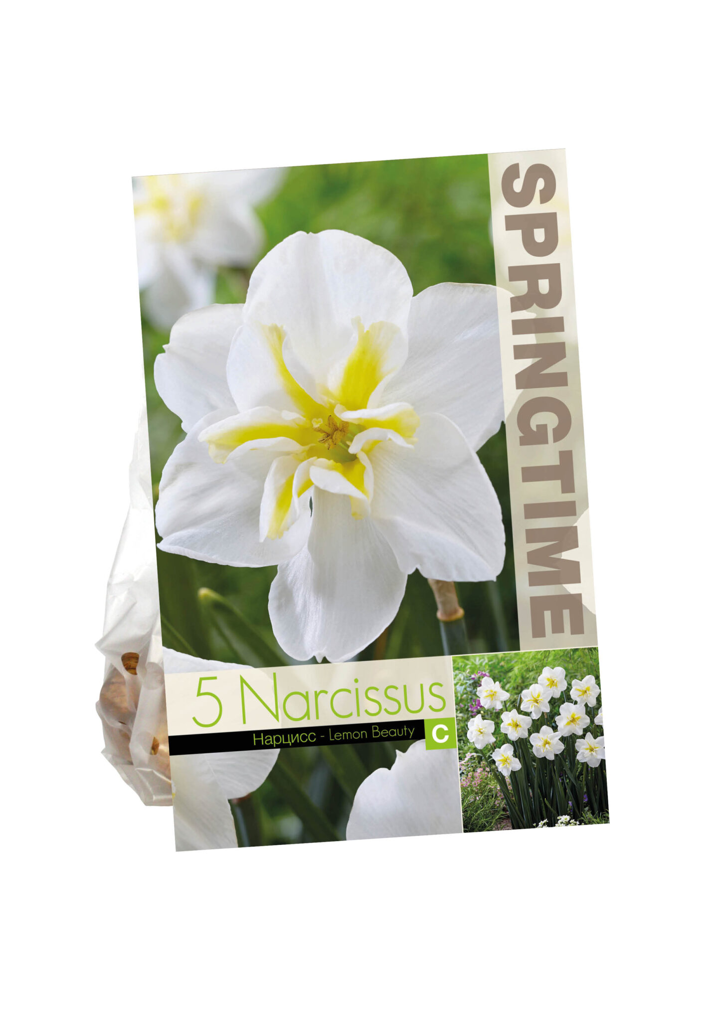 Narcissus Lemon Beauty